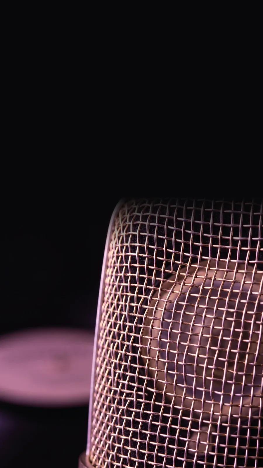 Studio condenser microphone in close-up — the capture chain that preserves the take.